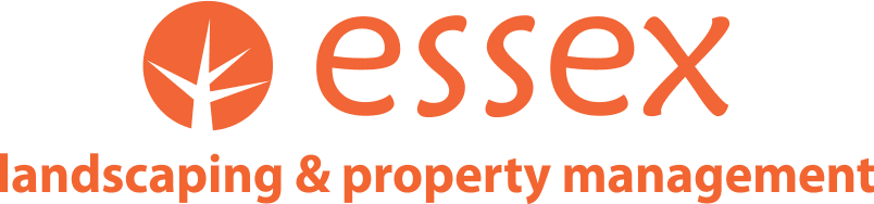 ESSEX LANDSCAPING