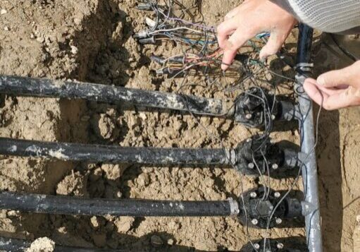 Sprinkler System installation